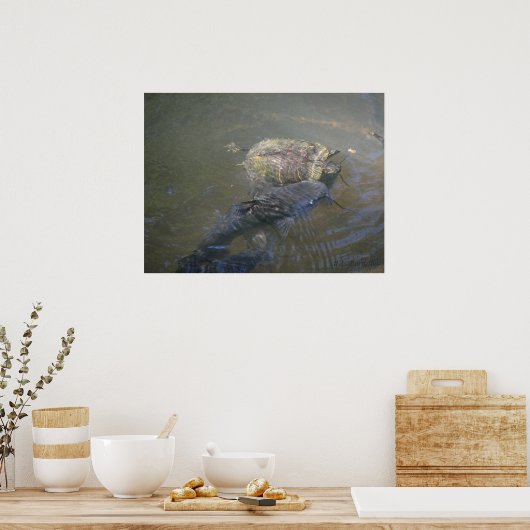 イナマズ川と亀 ポスター (キッチン)