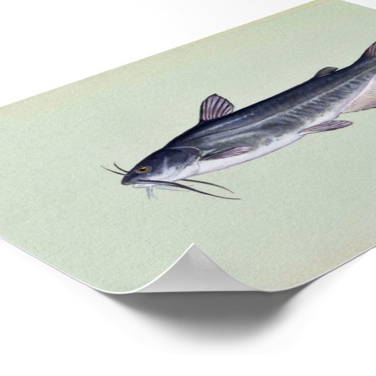 イナマズ ポスター (角)