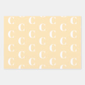 イニシャルモノグラムカスタムオレンジピーチサーモンシェード ラッピングペーパーシート (正面3)