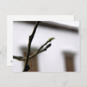 イニシャル ポストカード (正面/裏面)