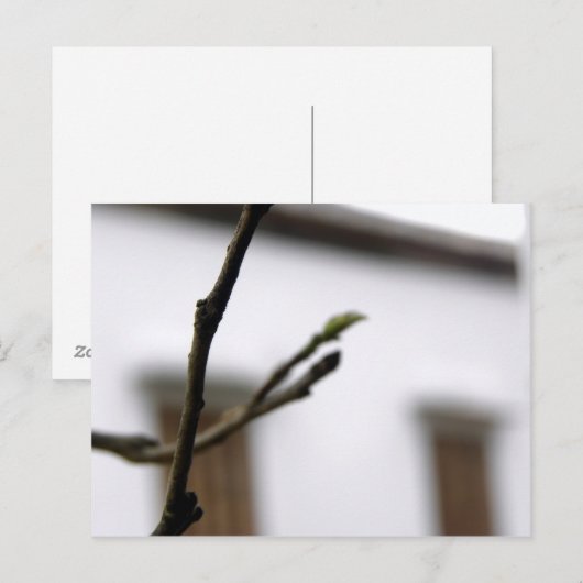 イニシャル ポストカード (正面/裏面)