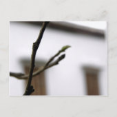 イニシャル ポストカード (正面)