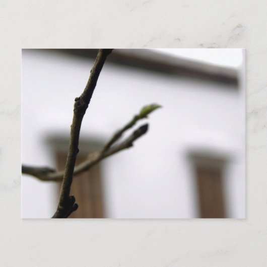 イニシャル ポストカード (正面)