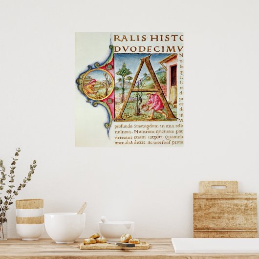 イニシャル「A」の歴史像 ポスター (キッチン)