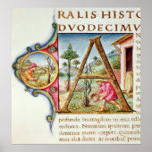 イニシャル「A」の歴史像 ポスター (正面)