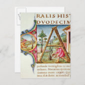 イニシャル「A」の歴史像 ポストカード (正面/裏面)