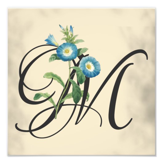 イニシャルM、ヴィンテージモーニンググローリーフォトプリント フォトプリント            (正面)