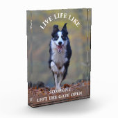 イヌとやる気を起こさせるのポジティビティライフ引用文 フォトブロック (左)