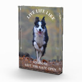 イヌとやる気を起こさせるのポジティビティライフ引用文 フォトブロック (右)