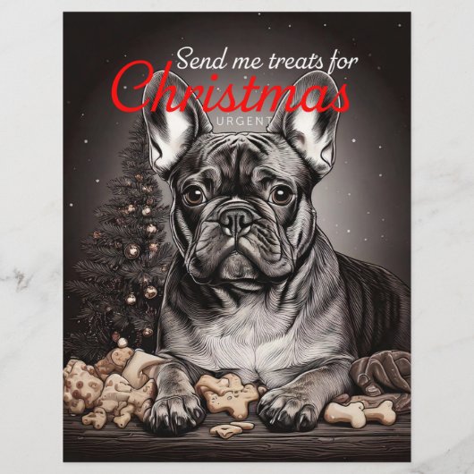 イヌとネコ チラシ (裏面)