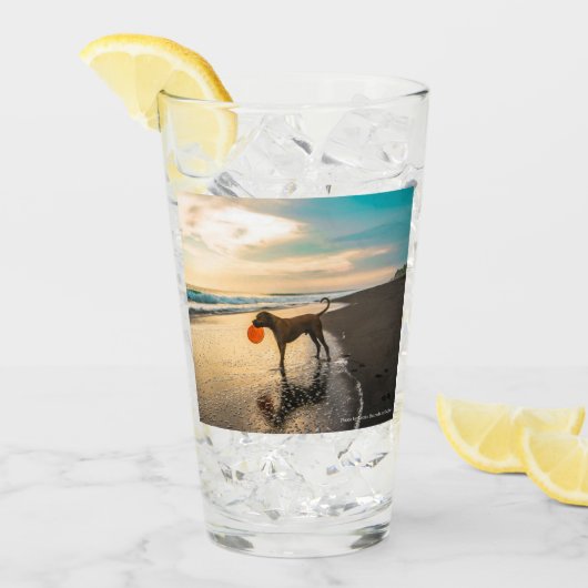イヌは遊両面に タンブラーグラス (アイス正面)