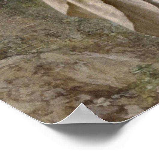 イヌレスバイウィリアムブーゲロープリント ポスター (角)