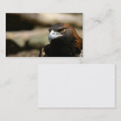 イヌワシの名刺 名刺 (正面/裏面)