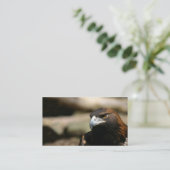 イヌワシの名刺 名刺 (スタンド正面)