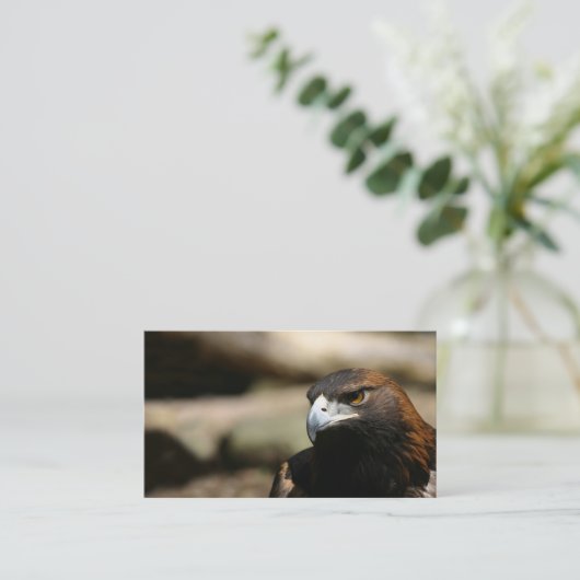 イヌワシの名刺 名刺 (スタンド正面)