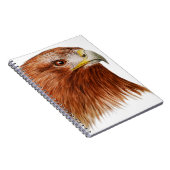 イヌワシ2011年 ノートブック (右側)