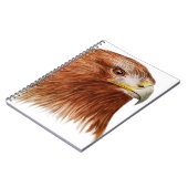 イヌワシ2011年 ノートブック (左側)