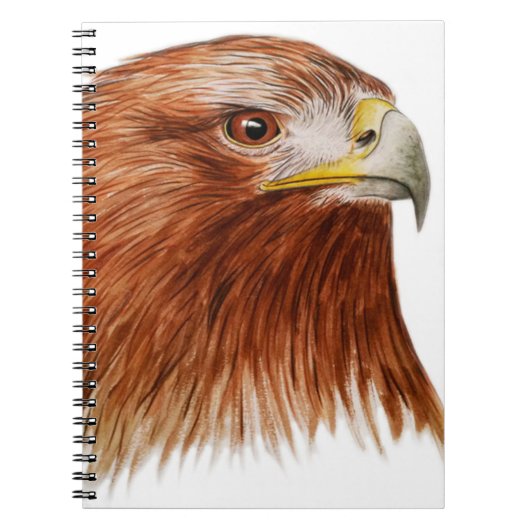 イヌワシ2011年 ノートブック (正面)