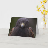 イヌワシ カード (黄色い花)