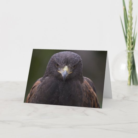 イヌワシ カード (正面)