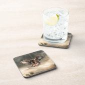 イヌワシ コースター (右側)