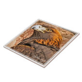 イヌワシ タイル (側面)