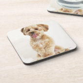 イヌ属のfamiliaris コースター (左側)