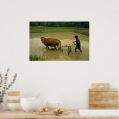 イネ鋤 ポスター (キッチン)