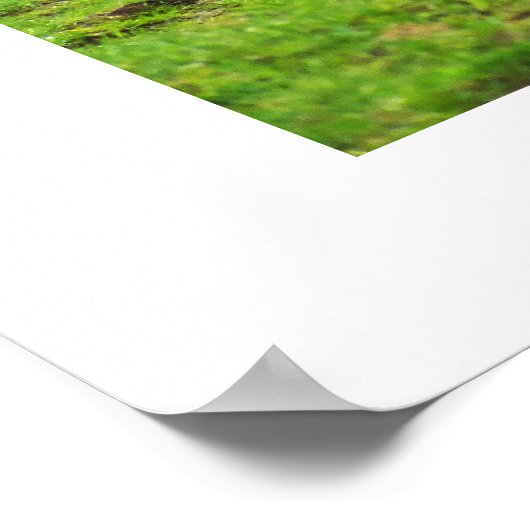 イネ類 ポスター (角)