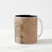 イノシシのコブタ ツートーンマグカップ (正面右)