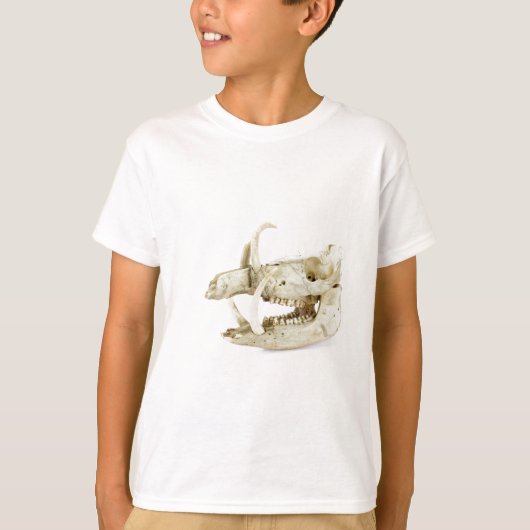 イノシシのスカル Tシャツ (正面)
