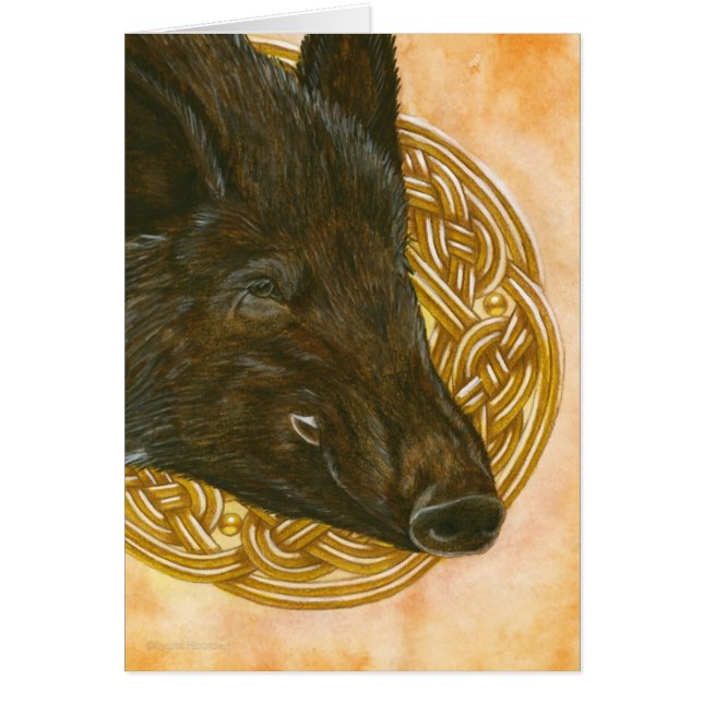 イノシシ (正面)