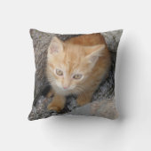 イノセントキッテン装飾用クッション クッション (裏面)