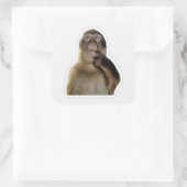 イノセントサルミームシール スクエアシール (バッグ)