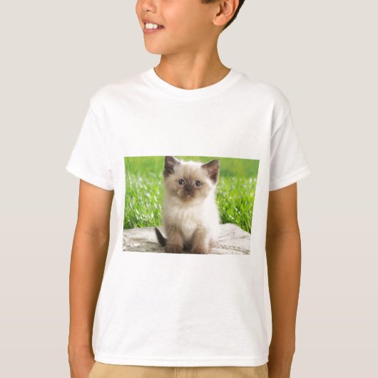 イノセントラグドール子猫 Tシャツ (正面)