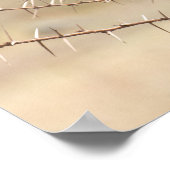 「イバラのハメルコプ」 – アフリカの鳥ポスター ポスター (角)