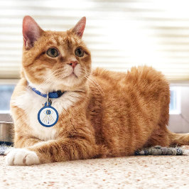 イバートアイムーンペットタグ ペット　ネームタグ