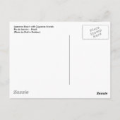 イパネマ海岸 ポストカード (裏面)