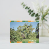 イヒ・ビン・スターク ポストカード (スタンド正面)