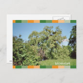 イヒ・ビン・スターク ポストカード (正面/裏面)