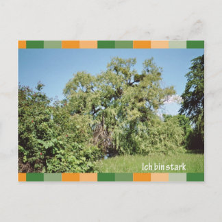 イヒ・ビン・スターク ポストカード