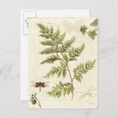 イビエとシダ ポストカード (正面/裏面)