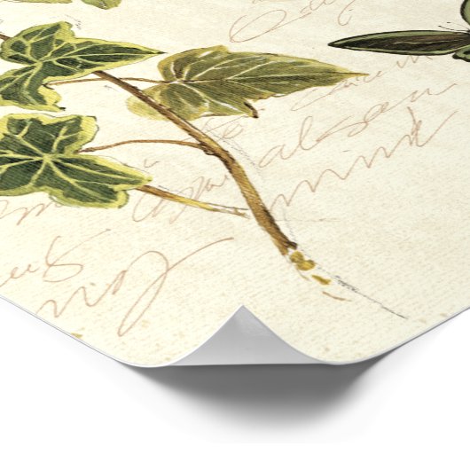 イビエと蝶 ポスター (角)