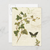 イビエと蝶 ポストカード (正面/裏面)
