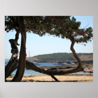 イビサドリームズ ポスター