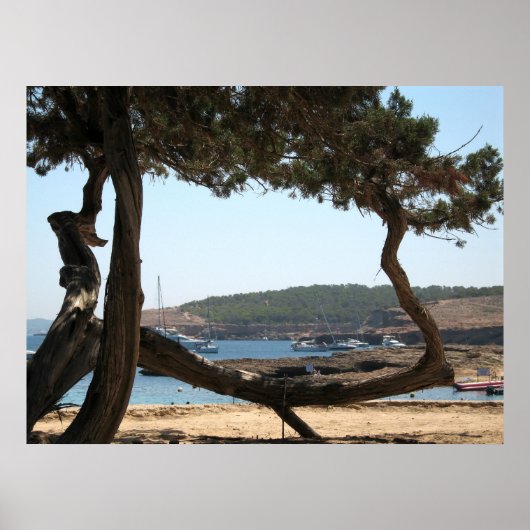 イビサドリームズ ポスター (正面)