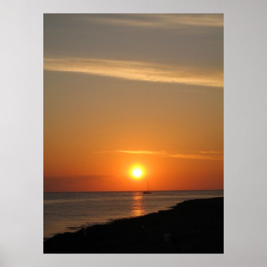 イビサドリームズ ポスター (正面)