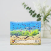 イビサ島/イビサの生物多様性 - ユネスコ世界遺産 ポストカード (スタンド正面)