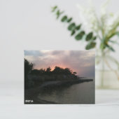 イビサ葉書 ポストカード (スタンド正面)