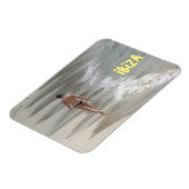 イビサ マグネット (左側)